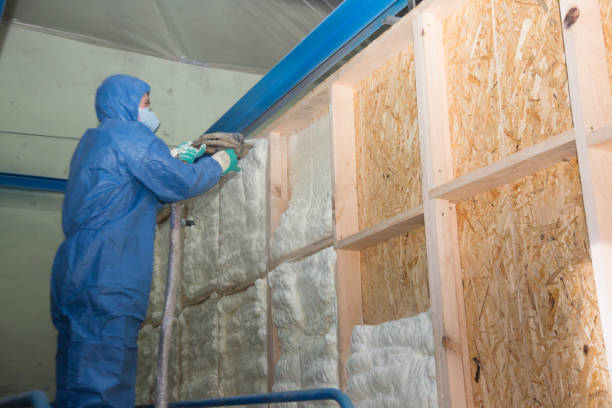 Best Insulation Replacement Services  in Rockfish, NC