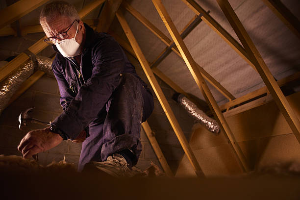 Best Best Insulation Companies  in Rockfish, NC