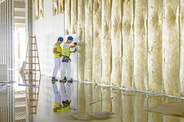 Best Home Insulation Services  in Rockfish, NC